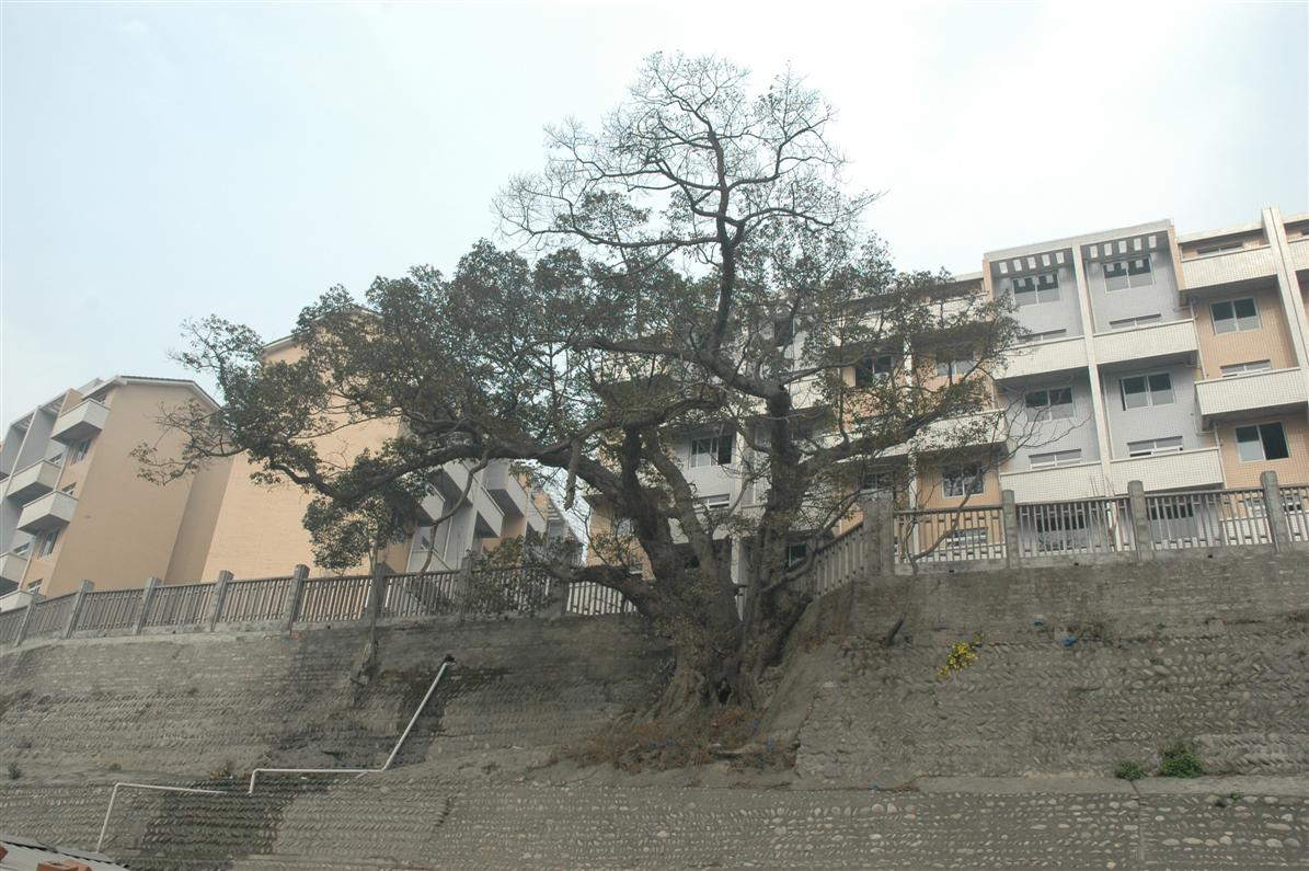 峨邊彝族自治縣沙坪鎮(zhèn)東風(fēng)新區(qū)古今寺遺址